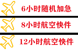 西昌空运快递公司,专业空运当天件
